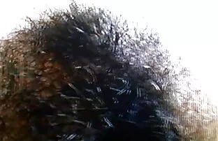 Sexo a três com duas miúdas xvídeos pornô de coroas gostosas giras.