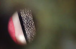 O tipo perdeu a aposta e não videos de sexo explicito com velhas pode pagar, por isso fodi a mulher dele.